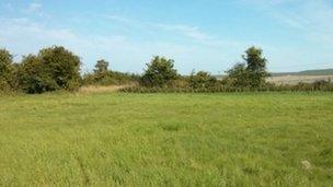 Land near Cannings Cross Farm