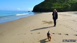 Dog being walked along a beach