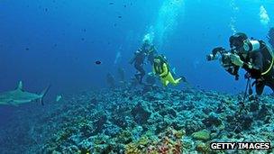 Scott Reef in Western Australia