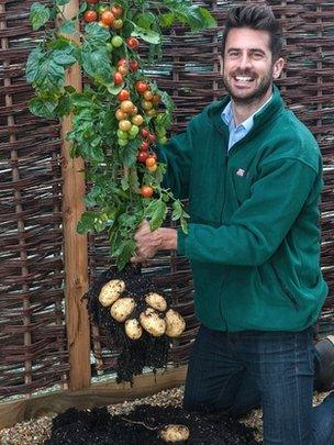 Michael Perry, of Thompson and Morgan, holding a TomTato plant