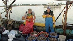 Oyster fishermen