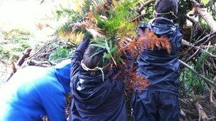 Children building a den