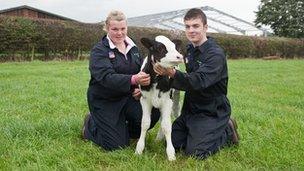 Agriculture students Becky Dobson and Robert Carrick with the new calf