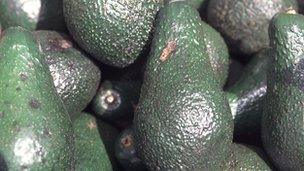 Avocados