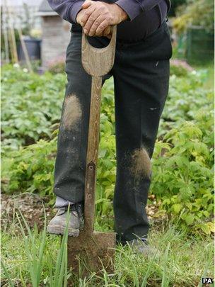 Man gardening