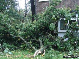 Peter Troy's house damaged by falling branch