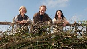 A restored hedgerow in the New Forest National Park. Pictured in the photo from left to right are Environmental Land Management consultant Jane Nordstrom, Bisterne Estate owner Hallam Mills and New Forest Land Advice Service manager Julie Stubbs.