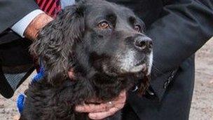 Meg, police dog with the Nottinghamshire force