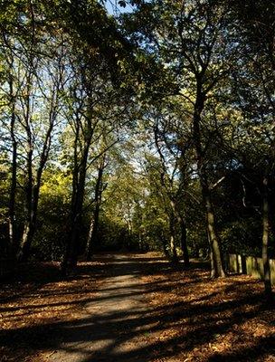 Holland Park, London (Image: BBC)