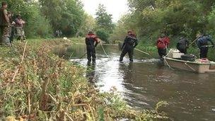 Fish being checked on the River Kennet