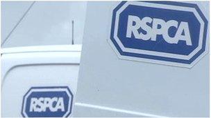 RSPCA vans