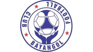 Bayangol logo