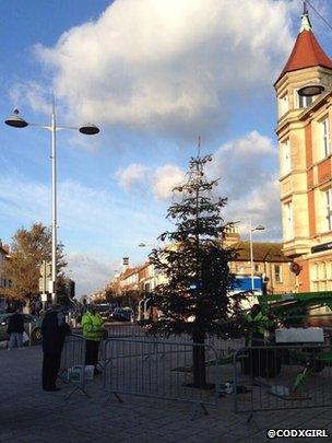 Christmas tree 'twig' in Clacton