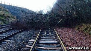 Tree on the line in north Scotland