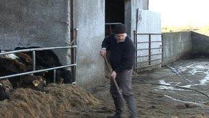 Seamus Sherlock on his 50-acre farm in County Kerry