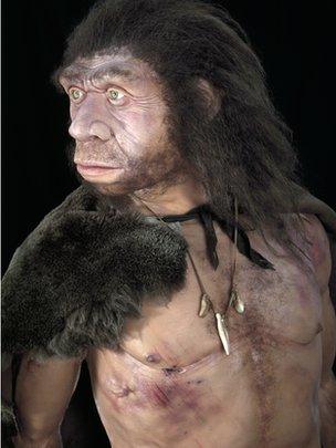 Neanderthal man