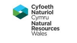 Cyfoeth Naturiol Cymru