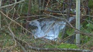 The woman died at a small stream running off the mountain