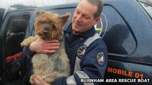 Elvis the Yorkshire Terrier dog was also rescued from the property