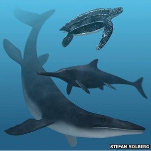 Artist's impression of marine reptiles