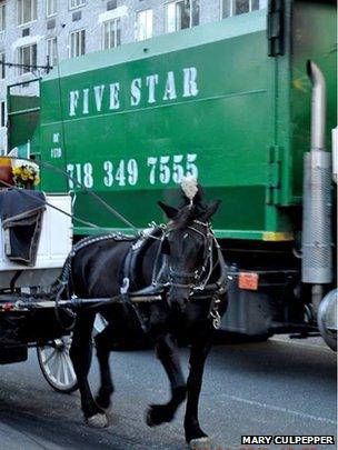 Horse next to a garbage truck