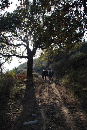 The hike in the Jebal Ansariya mountains