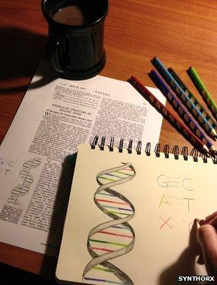 Artist illustration of DNA