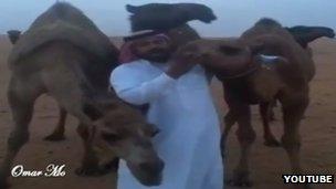 Screengrab of a man kissing a camel