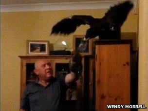 Boris the Russian Steppe Eagle