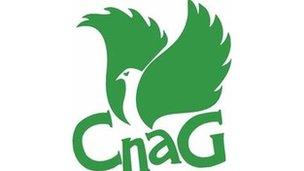Comunn na Gàidhlig