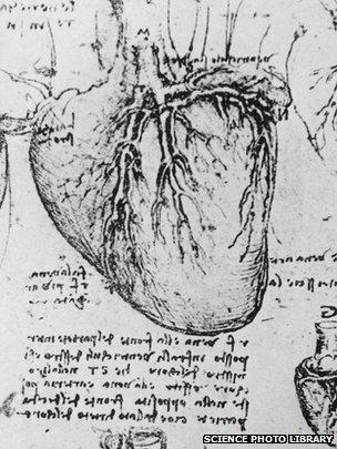 Leonardo da Vinci's diagram of the heart and blood vessels