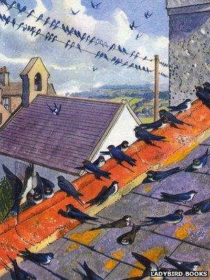 Charles Tunnicliffe illustration of swallows on the roof of his house in Malltraeth, Anglesey