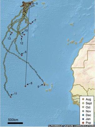 path of devil rays