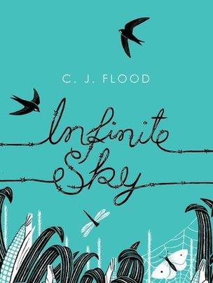 Cover of Infinite Sky