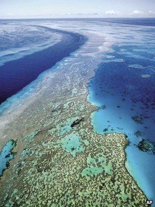 Aerial view of the Great Barrier Reef