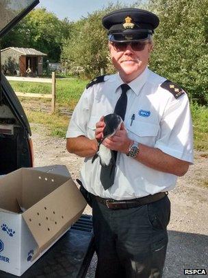 RSPCA Inspector Rohan Barker and a Manx shearwater