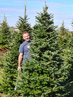 Rob Morgan with one of his Christmas trees