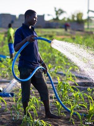 Farmer watering crops, Ghana (Image: IWMI)