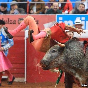 Mexican bullfighter Karla de los Angeles is gored by a bull in Mexico City on 28 December 2014