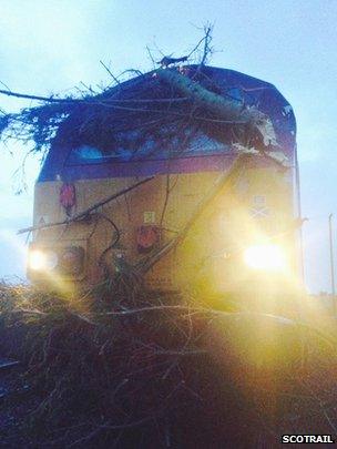 train hit by tree