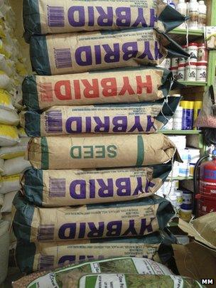 Bags of hybrid maize seeds (Image: Markets Matter)