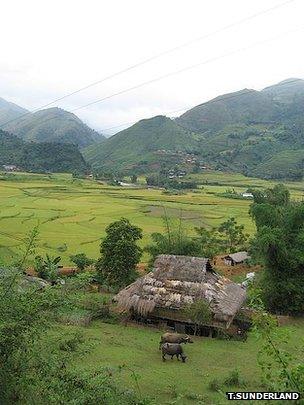 Forest and agriculture mosaic landscape, Vietnam (Image: Terry Sunderland)