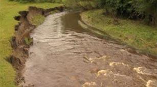 Afon Clywedog