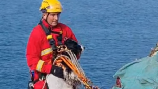 Two men in fire crew uniforms are on a steep rocky cliff above the sea on a sunny day. One has the springer spaniel in his arms and has ropes around him. The other is at the top of the cliff a couple of metres away watching him. There is a tarpaulin on the ground.