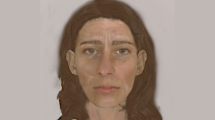 The e-fit image shows a woman with long dark hair and brown eyes wearing a necklace.