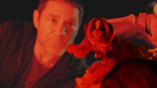 Steve looks at a slow loris under red light.