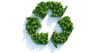Recycling symbol made of trees
