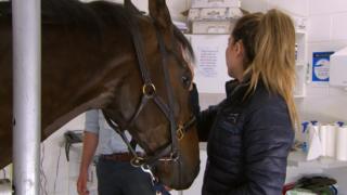 A woman strokes a horse's face.
