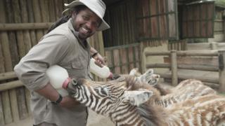 Hamza feeds two baby zebras whilst smiling at the camera.