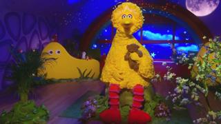 Click to watch Big Bird read Bird Song for CBeebies Bedtime Stories.